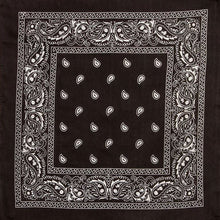 Load image into Gallery viewer, Black Bandana
